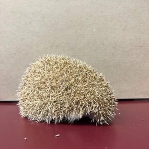 Hedgehog